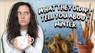 How To Care For Houseplants In Winter | Winter Houseplant Care