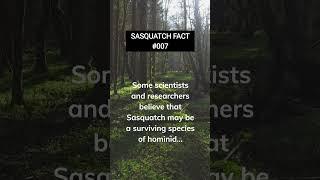 Sasquatch Fact #007: Have you ever sighted Sasquatch? Tell your story in the comments! #bigfoot