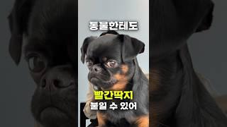 돈 안 갚으면 진짜 빨간딱지 붙어요? #빨간딱지 #압류 #가압류