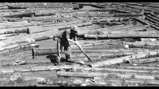 War For The Woods: The New England Timber Salvage Administration and The Disaster Loggers of 1938