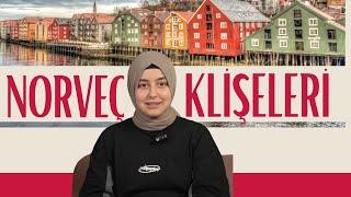 NORVEÇ HAKKINDA BİLDİKLERİNİZİ UNUTUN! ️ @kusbakisi2023 #norveç  #somon #kusbakisi2023 #northlight