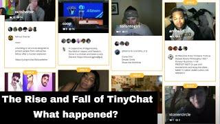 The Rise and Fall of TinyChat