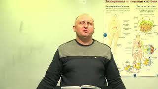 Прямой эфир доктор Олег Сухомлин  1.Терпение (16)  85ч.  2.Противовирусная защита 13ч.  Иммунитет.