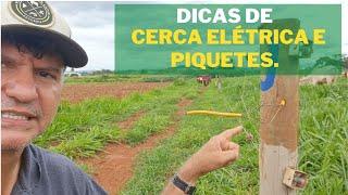 Dicas de Piquetes e cerca elétrica rural