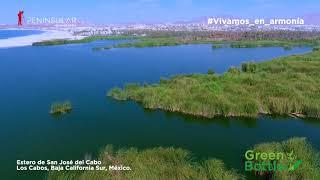 Estero de San José del Cabo, Los Cabos, Baja California Sur, México.