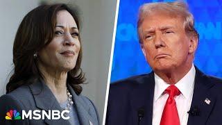 Trump campaign should be 'really concerned' about excitement over Harris