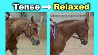 HOW TO STOP A HORSE PULLING ON THE REINS  