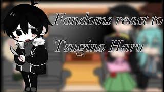 Fandoms react to Tsugino Haru (Zeno Remake) 1/8? +little announcement at the end (first video!)