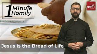 Back to the Basics | One-Minute Homily