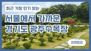 서울에서 가까운 경기도 광주수목장 추천드려요.