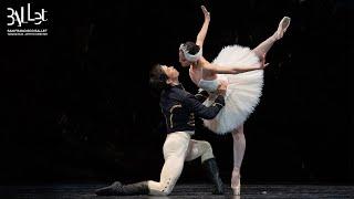 Ballet’s greatest love story returns | Swan Lake at San Francisco Ballet