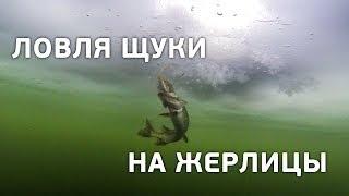 Зимняя рыбалка со льда. Ловля щуки на жерлицы. [FishMasta.ru]