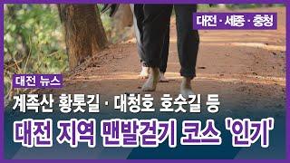 [대전] 계족산 황톳길·대청호 호숫길 등 대전 지역 맨발걷기 코스 '인기'