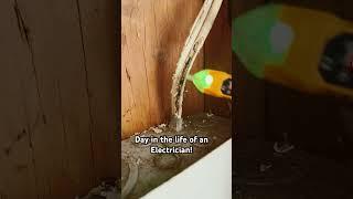 No touchy touchy! Shocky shocky! #electrician #construction #diy