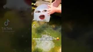 【笑一笑】水 母 歸 頭