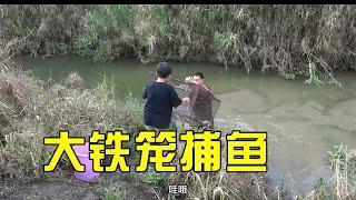 野河收自制大铁笼，看到铁笼里鱼儿乱窜那一刻，阿琪乐坏了真给力 【农村阿琪】