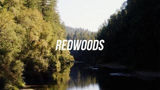 Humboldt Redwoods State Park | 4K Drone Video