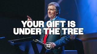 Your Gift Is Under The Tree | Carter Conlon