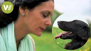 Animal communication - Understanding how animals think and feel