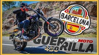 The sportiest Royal Enfield yet! | Guerrilla 450 review | INFO MOTO