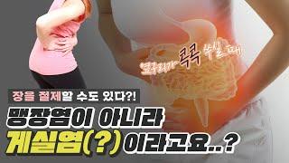 생소한 게실염(?), 장을 절제해야 할 수도 있다?! - 나는의사다 871회