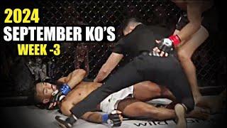 MMA & Boxing Knockouts I September 2024 Week 3