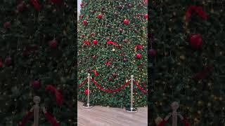 Christmas tree in Crescent Mall