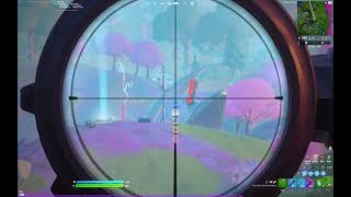 Longest Snipe in Team Rumble (i guess)