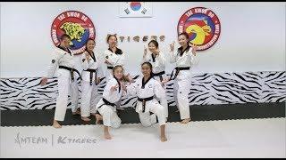 Team-M Taekwondo: Cross training with K-Tigers 