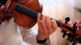 Can You Feel The Love Tonight Violin Duet Dolce