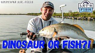 A NEW TECHNIQUE TO CHASING REDFISH! 19-2024 SouthWEST