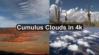 Cumulus Clouds in 4k