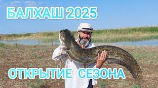 БАЛХАШ 2025, открытие сезона #андрей_целиноград #разведениечервей #балхаш #отдых