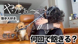 散歩が好きすぎる犬は何回目で飽きるのか検証したら絶望した