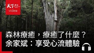 森林療癒，療癒了什麼？ 余家斌：增強心理韌性，享受心流體驗｜銀天下