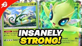 This is the NEW #1 DECK in Pokemon Pocket! (TRY THIS)