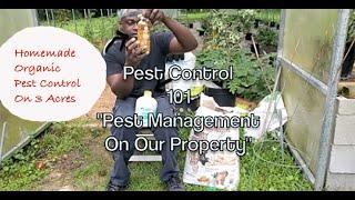 Pest Control 101: Pest Management For Organic Gardeners