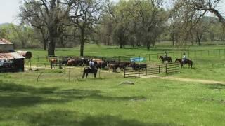 Female Rancher Making a Difference