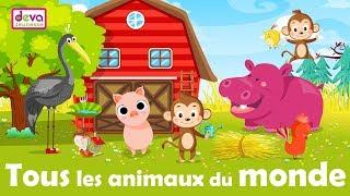 Tous les animaux du monde (Chanson avec paroles) ⒹⒺⓋⒶ Comptines pour enfants et maternelle