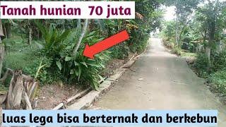 Maret 2025... Tanah 280 M2 70 juta ....murah...hunian dan bisa berkebun ... Banyumas