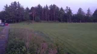 Lure coursing sbtsc norway