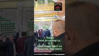 Rauza-e-Imam Al Hadi a.s & Imam Hasan Askari a.s | Samarrah, Iraq-1446H/2024#ziyarat #shorts