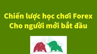 Forex | Chiến Lược Học Chơi Forex Cho Người Mới | Đầu Tư Forex