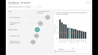 Power BI Eğitimi - Key Influencers