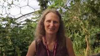 Rainforest Biome at Eden Project