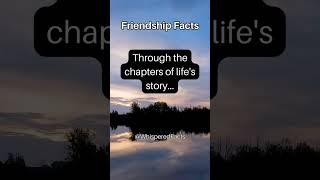 True Friends: Cherished Characters #shorts #psychologyfacts #subscribe