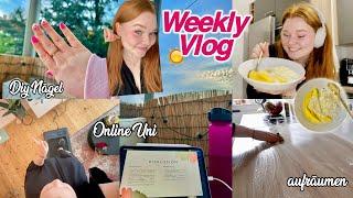 Weekly Vlog - Uni Alltag, aufräumen, kochen..I Meggyxoxo