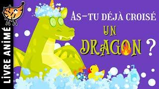 As Tu Déjà Croisé Un Dragon ?  Histoire pour s'endormir, Conte pour enfant en français, Créature