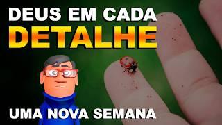 NOVA SEMANA: DEUS EM CADA DETALHE - Minuto Com Deus