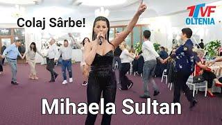 Mihaela Sultan  Cel mai nou colaj de sarbe #2024  Colaj de joc  Cele mai Tari SARBE  LIVE 